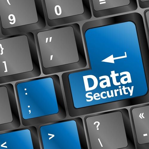 How Should Small Businesses Prepare for a Potential Data Breach