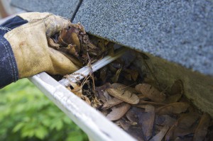 Importance of Clean Gutters Bolt