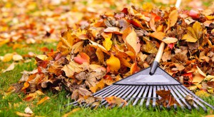 Fall Home Maintenance Checklist