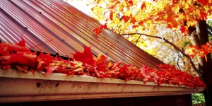 common gutter problems bolt insurance