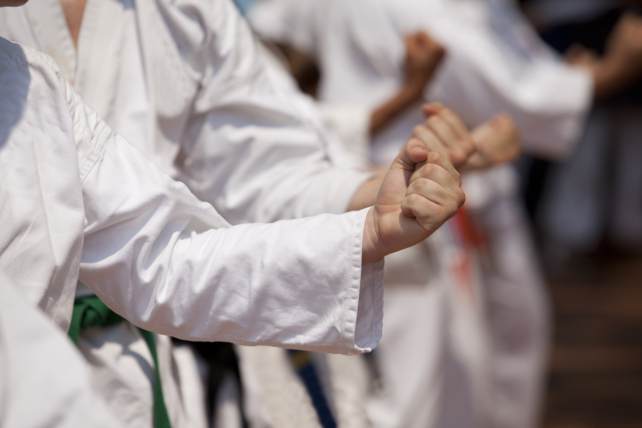 Martial Arts Studio Insurance