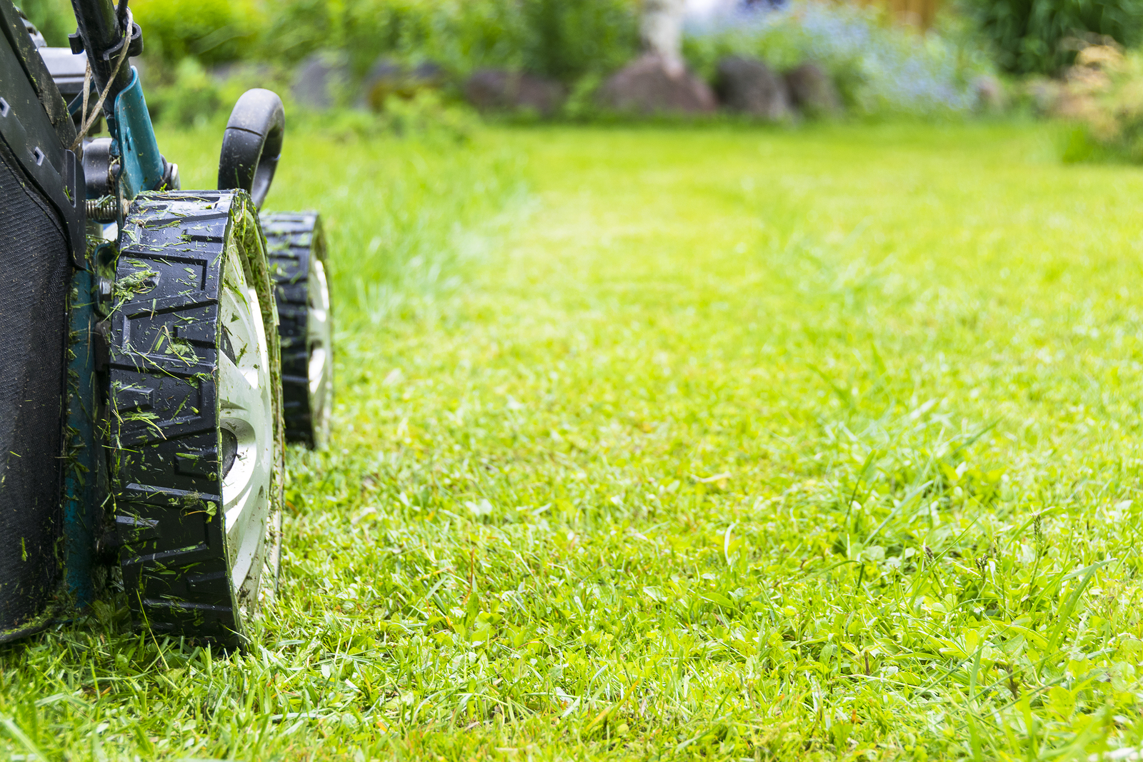 modern trends in lawn cutting