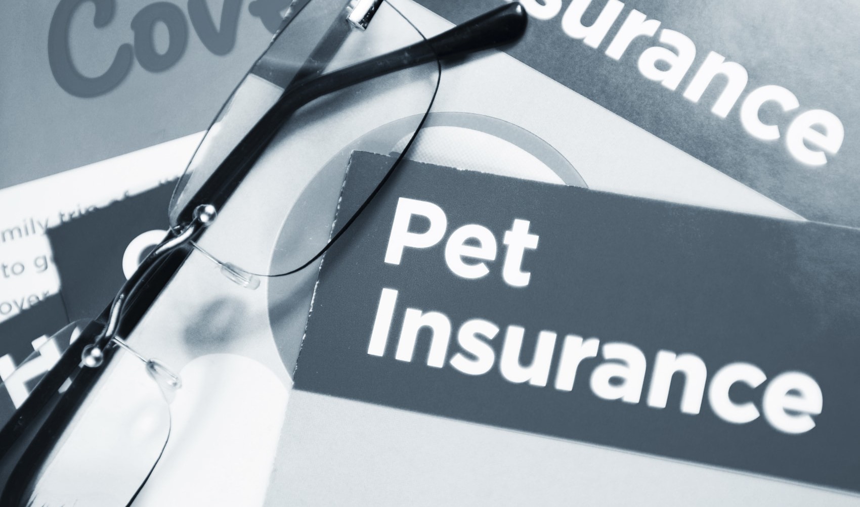 Waiting Period for Pet Insurance