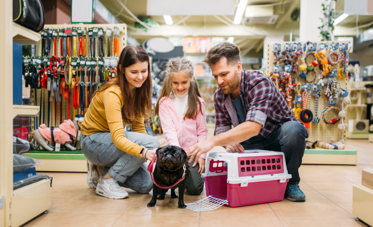 Pet supplies and pet shop insurance