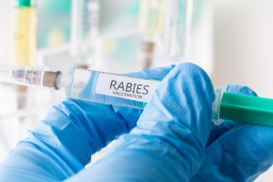 Rabies Vaccination for Pets