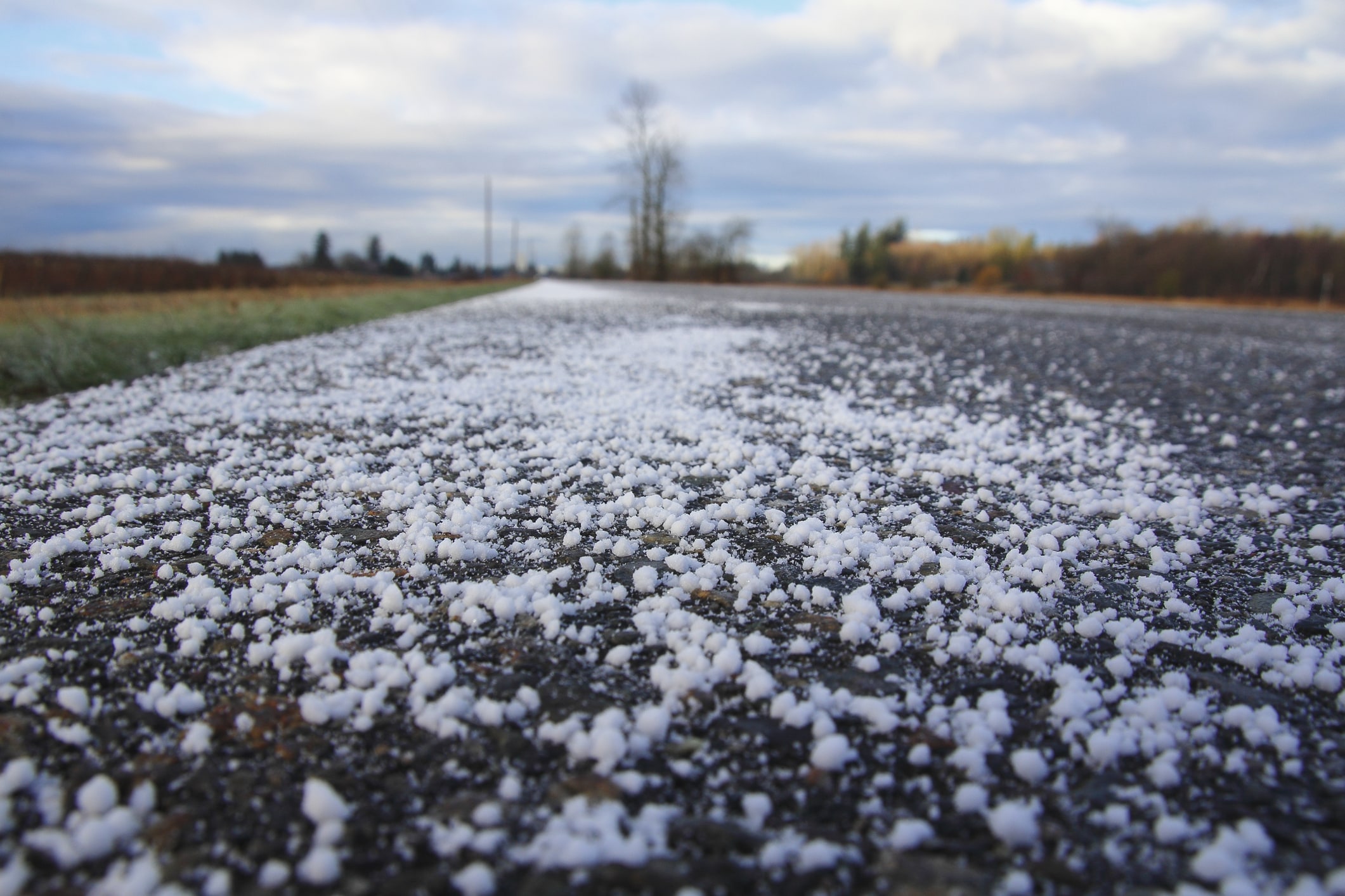 What You Should Know About Rock Salt and Your Pet