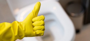 Tips to Prevent Toilet Damage Bolt