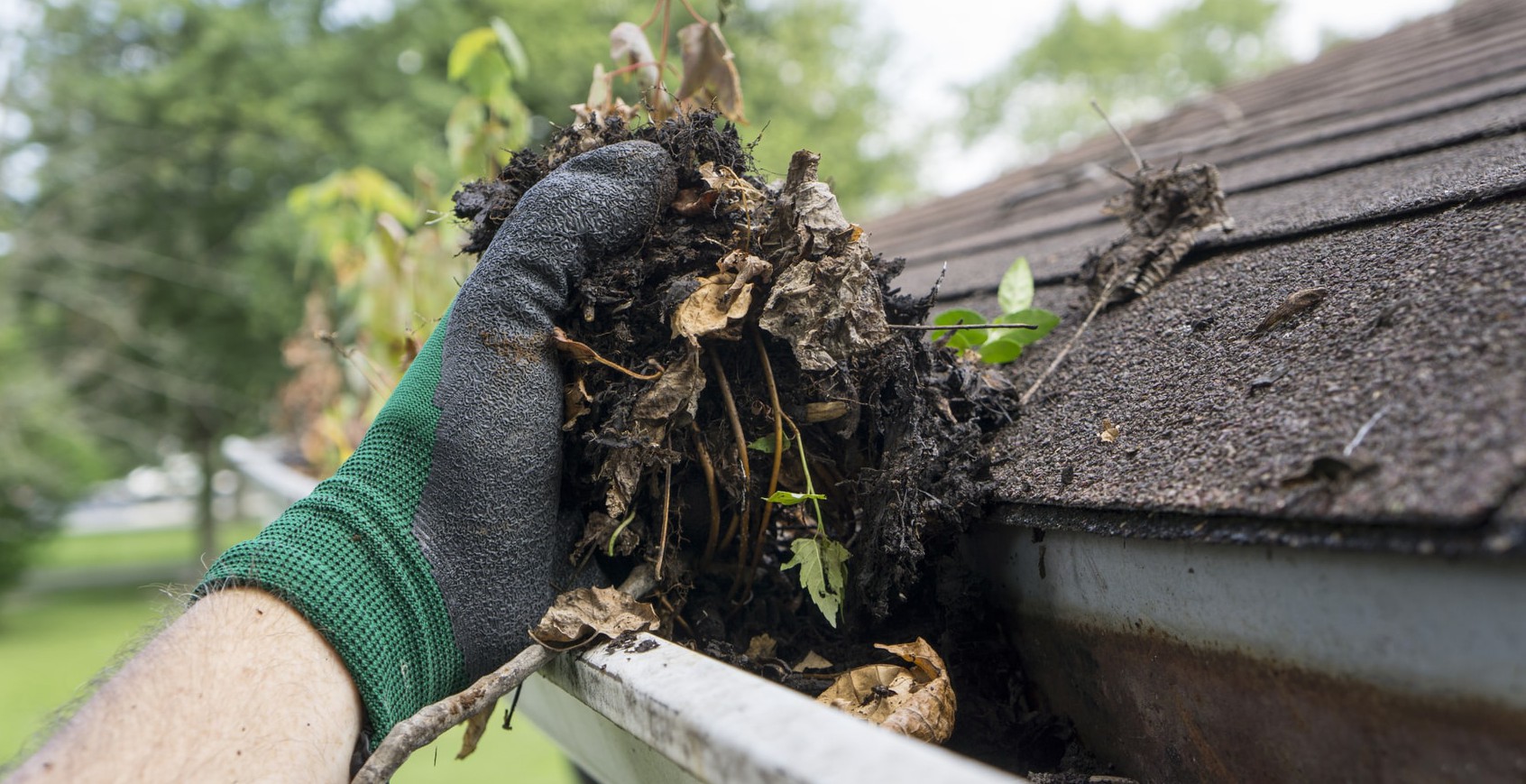 Tips For Gutter Maintenance Bolt