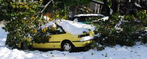 commercial storm damage insurance